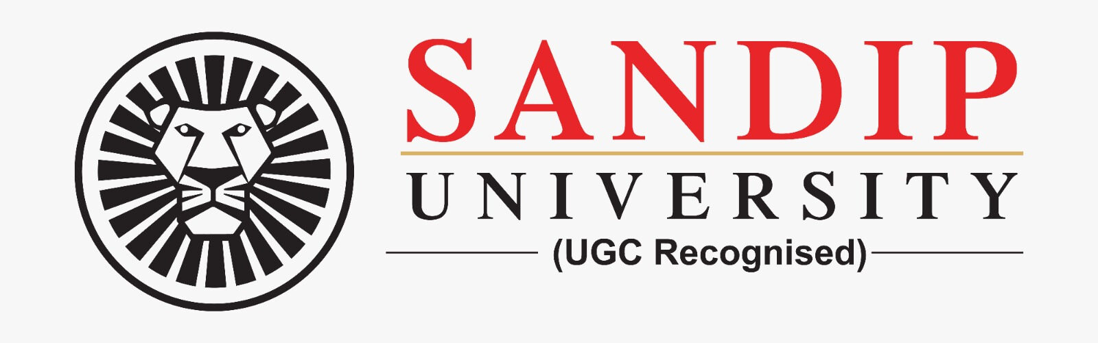 Sandip University